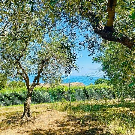 Villa In Collina Vista Mare Roseto Degli Abruzzi Exterior photo